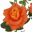 Fleur Artificielle Orange En Rose Déployée