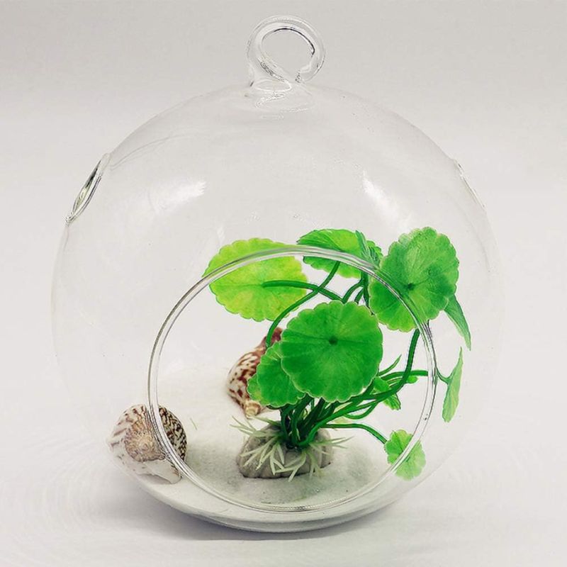 Vase Boule Transparent en Verre pour Plantes