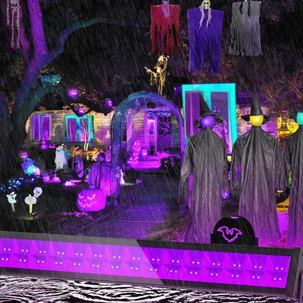 Éclairage Festif Projecteur UV LED Puissant