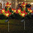 Éclairages Solaires de Jardin Design Orchidées Lumineuses