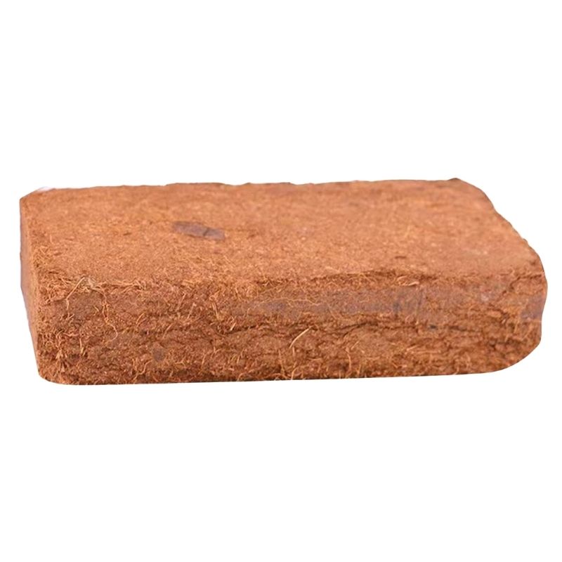 Substrat Terrarium En Fibre De Coco Pour Reptiles