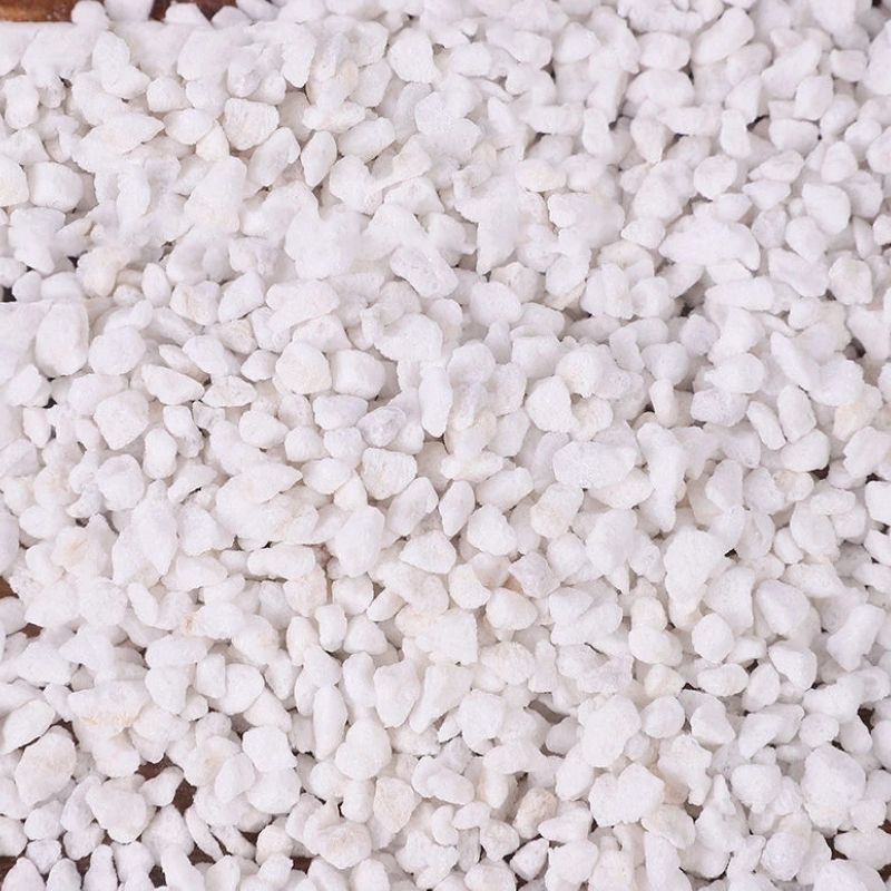 Substrat Terrarium En Perlite Naturelle