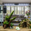 Décoration Terrarium En Ornement Corallien Blanc