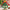 Sapin En Bois Miniature Décoratif