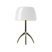 Lampe Champignon Design Brillant