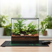 Tapis Chauffant Terrarium Avec Thermostat Numérique Réglable