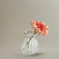 Vase Transparent en Verre Créatif pour Fleurs