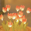 Fleurs Lumineuses LED Tulipes Sous Cloche
