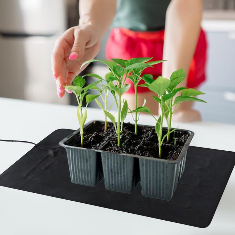 Tapis Chauffant Terrarium Pour Semis Et Germination Plantes