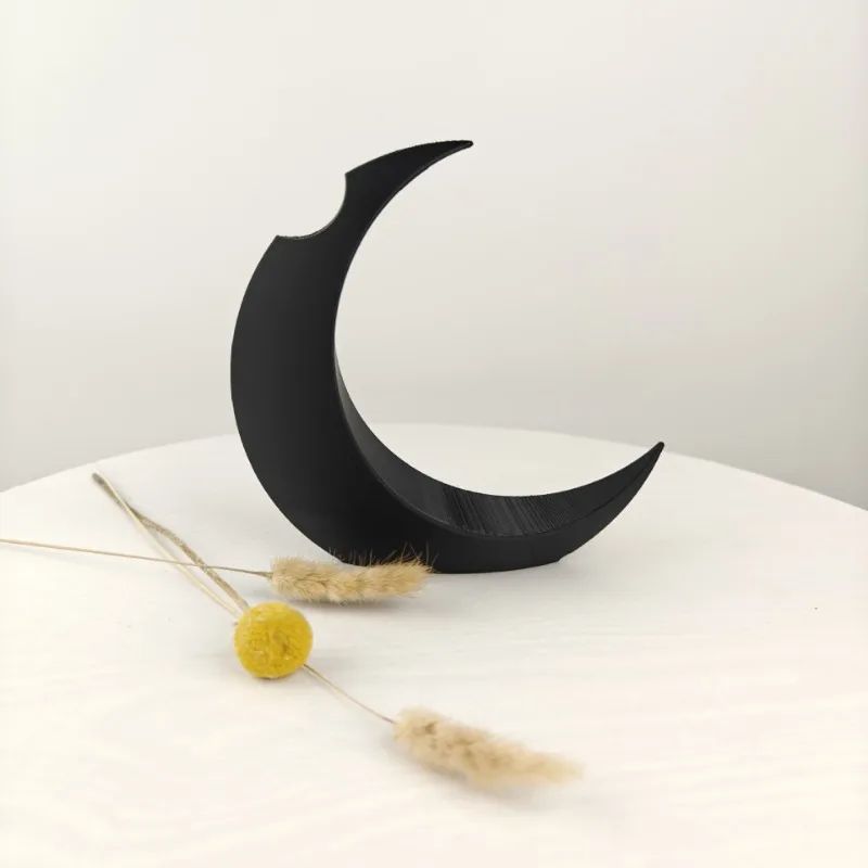 Vase en Forme de Lune pour Fleurs Sechées