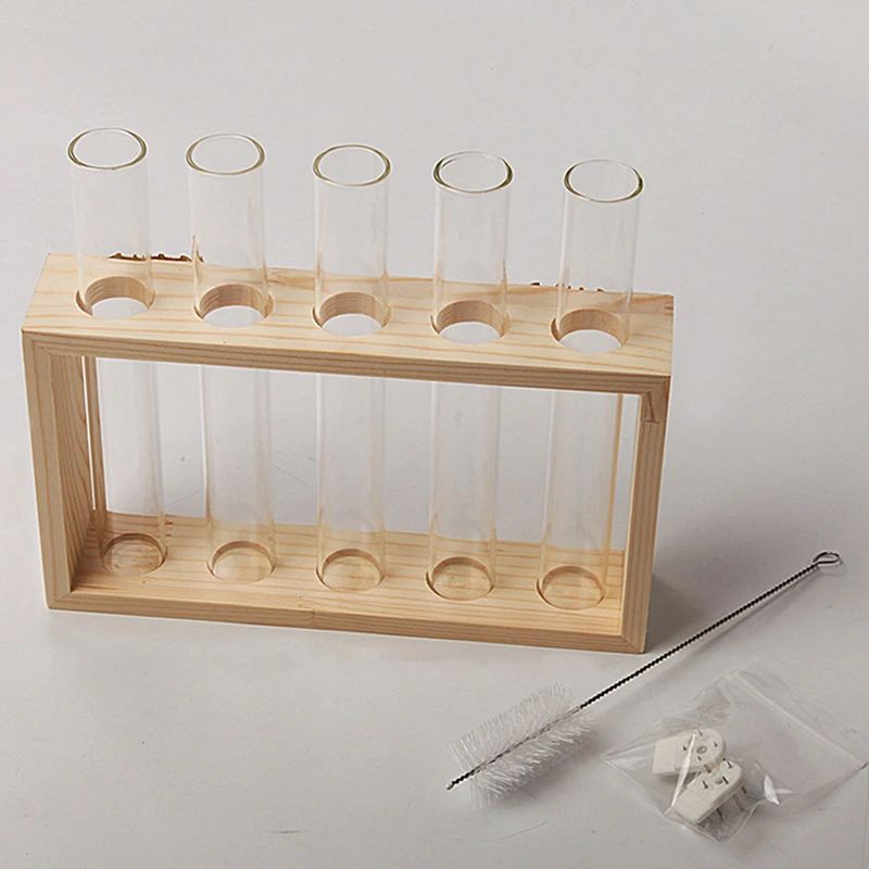 Vase avec Cadre en Bois pour Plantes Hydroponiques