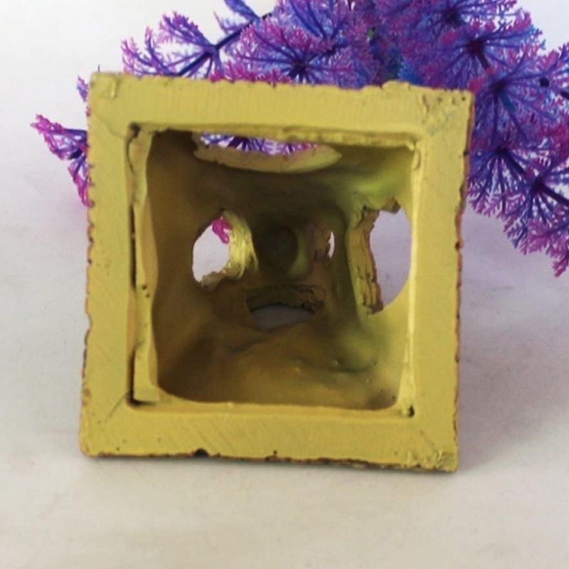 Décoration Terrarium En Forme Pyramide