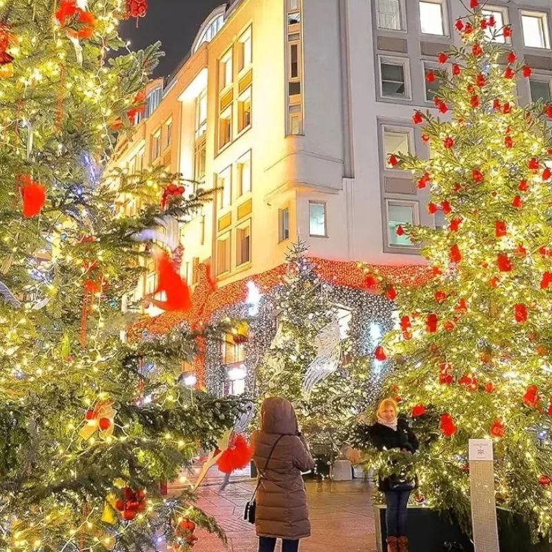 Guirlande De Noël Avec Minuterie Et Intensité Réglable