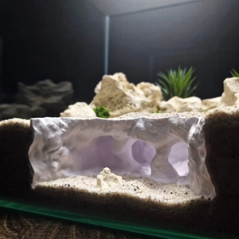 Décoration Terrarium En Forme De Grotte
