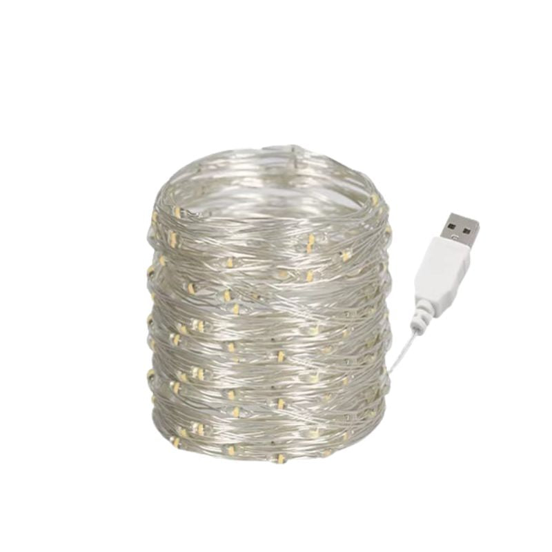 Guirlandes d’Intérieur LED avec Clips Photo