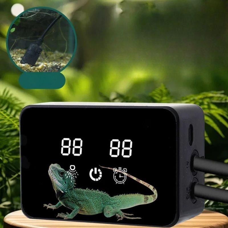 Brumisateur Terrarium Pour Reptiles Avec Pulvérisation