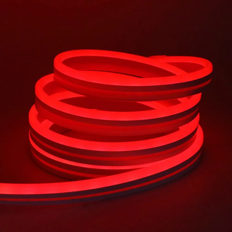 Guirlande LED Néon Multicolore Étanche