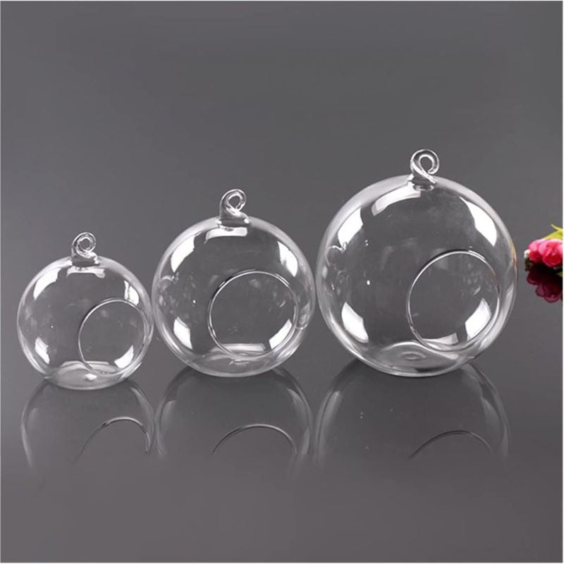 Vase Boule Transparent en Verre pour Plantes