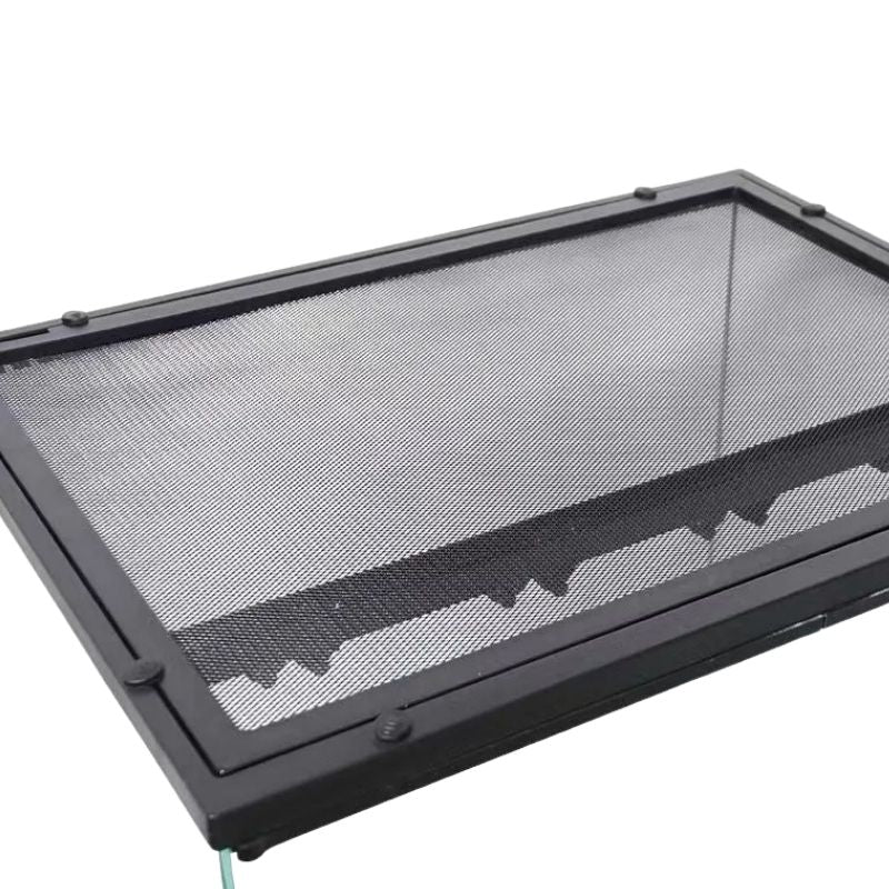 Terrarium En Verre Avec Structure Spacieuse