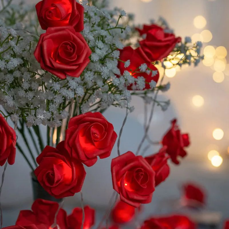 Guirlandes pour Anniversaire Roses Lumineuses LED