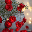 Guirlandes pour Anniversaire Roses Lumineuses LED