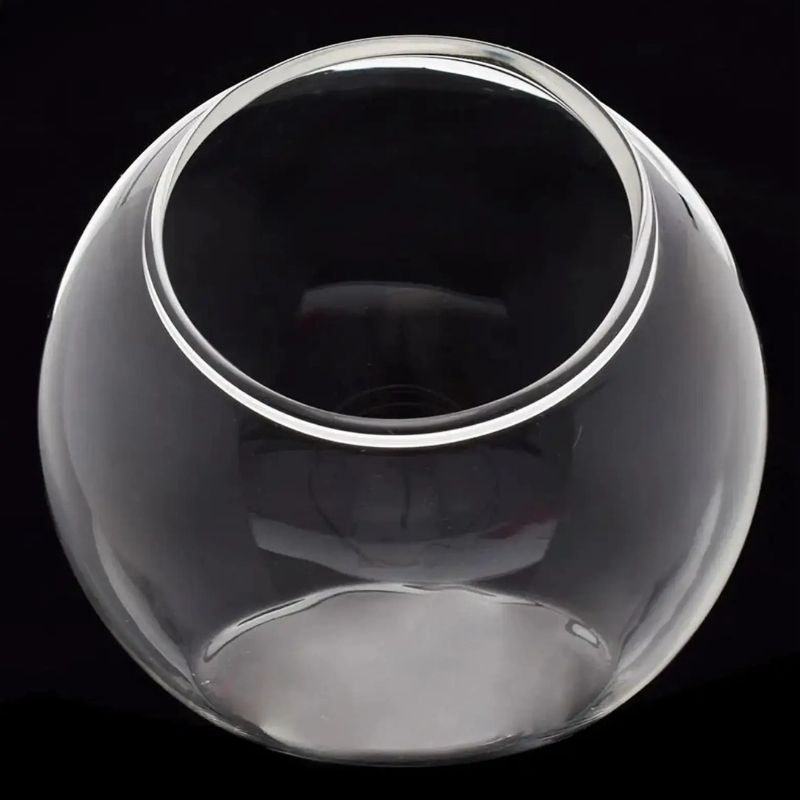 Terrarium En Verre En Forme Boule Transparente Décorative