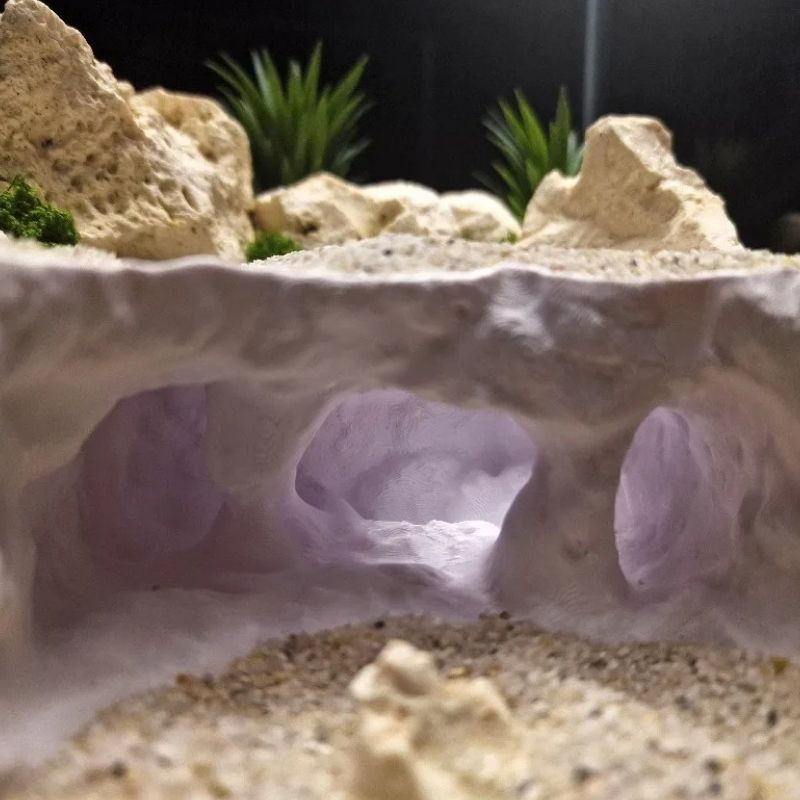 Décoration Terrarium En Forme De Grotte