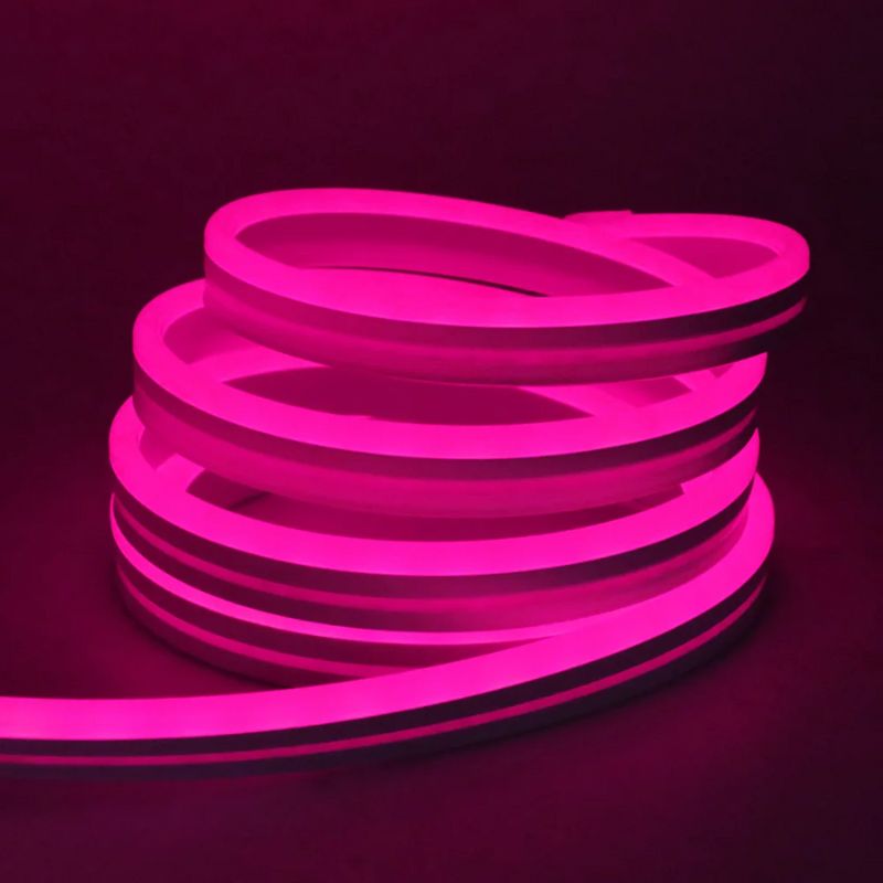 Guirlande LED Néon Multicolore Étanche