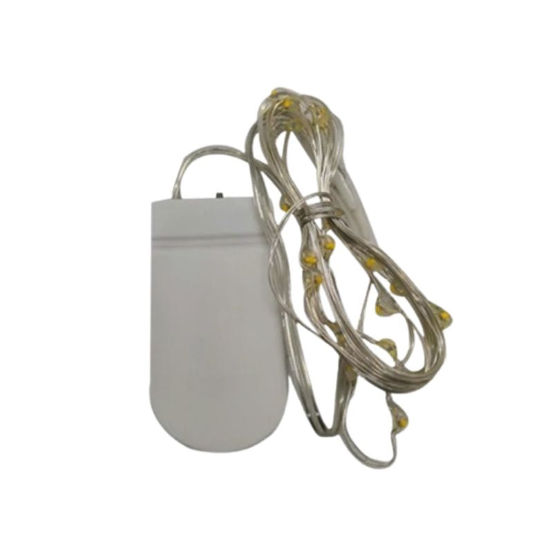 Guirlandes d’Intérieur LED avec Clips Photo