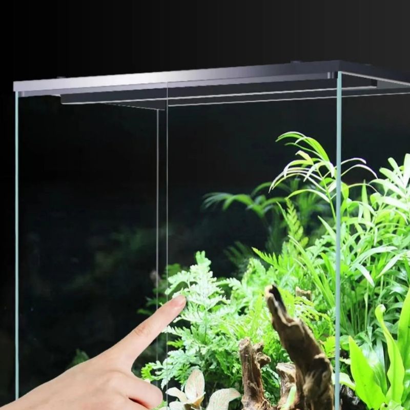 Terrarium En Verre Avec Structure Spacieuse