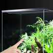 Terrarium En Verre Avec Structure Spacieuse