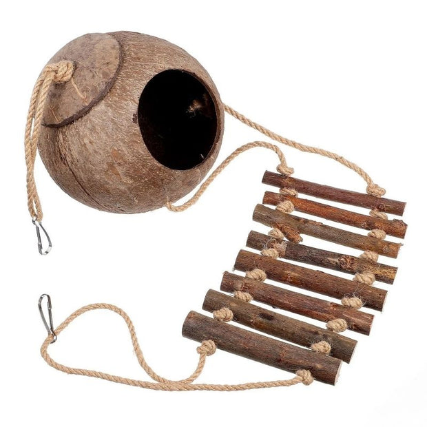 Décoration Terrarium Avec Cabane Coco Et Échelle En Bois, Décoration Terrarium