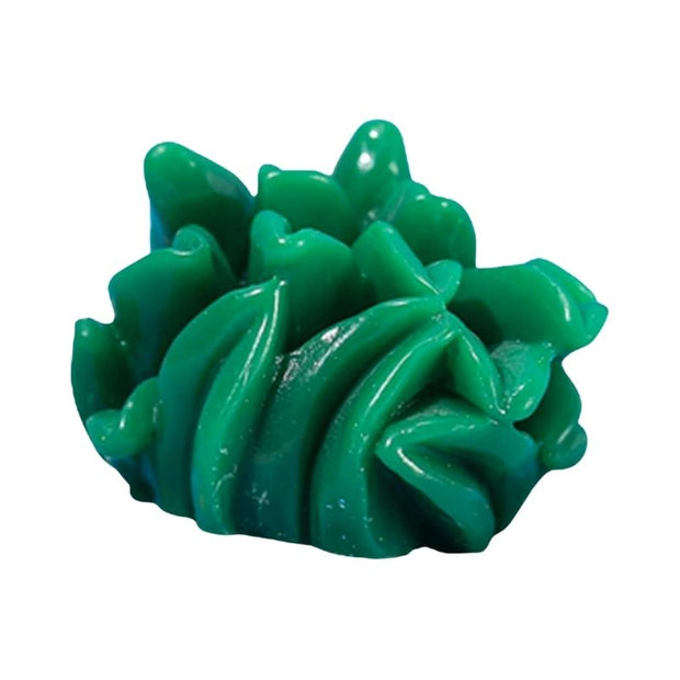 Décoration Terrarium Avec Plante Marine Verte Décorative, décoration terrarium décoratif