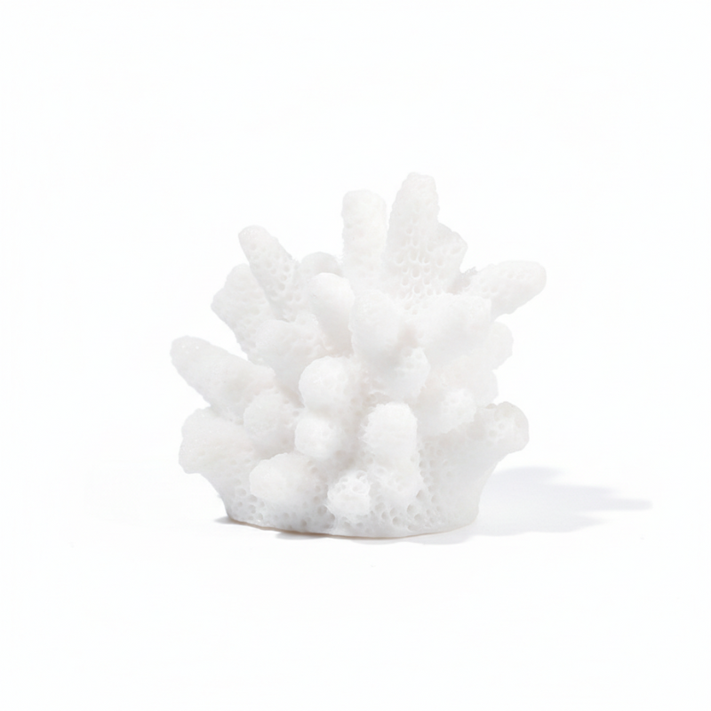 Décoration Terrarium En Corail Artificiel, décoration terrarium décoratif