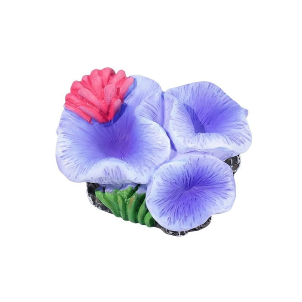 Décoration Terrarium En Fleur Marine Colorée, décoration terrarium colorée