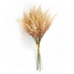 Fleur Artificielle Beige Avec Tiges Séchées Pour Décor Rustique