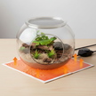 Tapis Chauffant Terrarium Avec Régulateur De Température