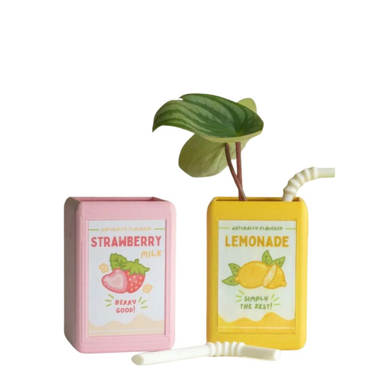 Vase Fleur en Forme de Boîte de Jus