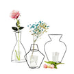 Vase en Ligne de Fer Retro pour Fleur