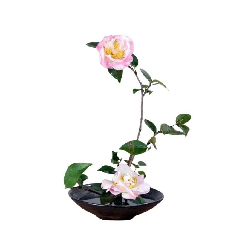 Vase Japonais à Grenouille Noir Style Ikebana