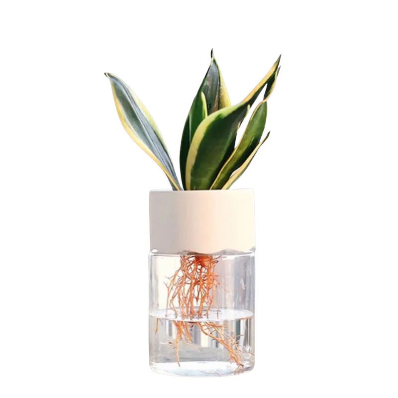 Vase Céramique Transparent pour Petites Fleurs