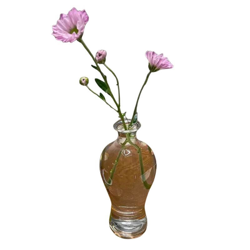 Vase Japonais en Verre Transparent pour Plantes et Fleurs