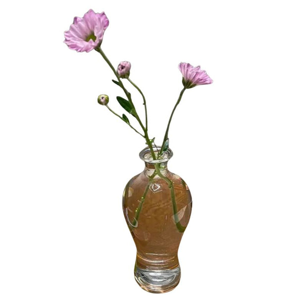 Vase Japonais en Verre Transparent pour Plantes et Fleurs