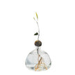 Vase Fleur en Verre Transparent pour Avocat