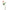 Vase Poisson en Verre Transparent pour Fleurs