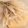 Fleur Artificielle Beige Avec Tiges Séchées Pour Décor Rustique