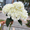 Fleur Artificielle Blanc Bouquet Hortensia