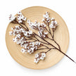 Fleur Artificielle Blanc Gypsophile En Branche Fine