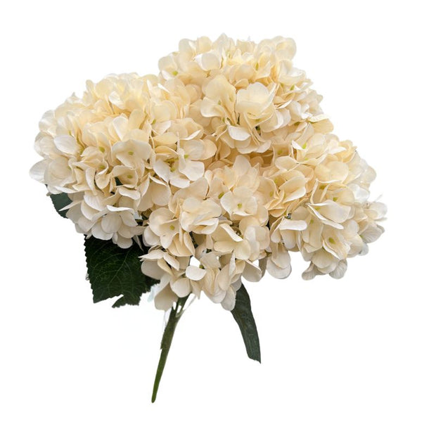 Fleur Artificielle Beige Avec Hortensia Réaliste, Fleur Artificielle Beige 