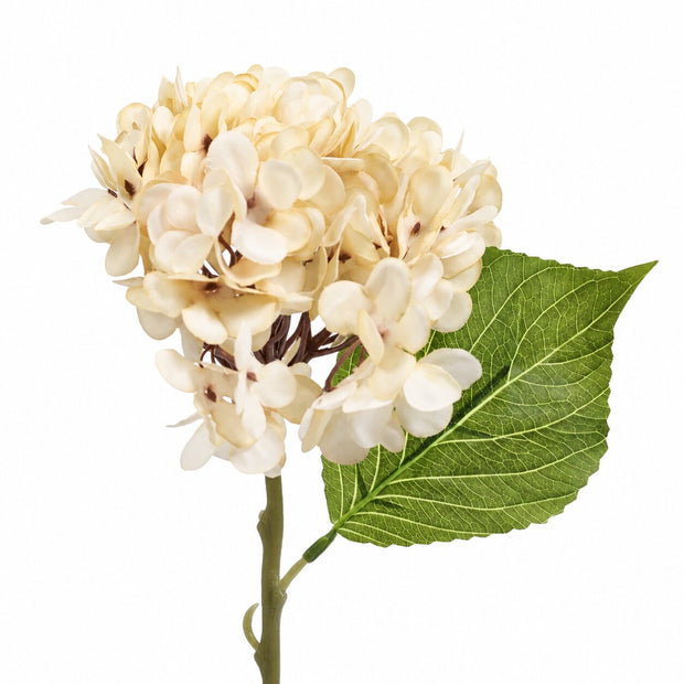 Fleur Artificielle Beige En Tissu Avec Rendu Naturel Et Élégant, hortensia crème avec feuille verte